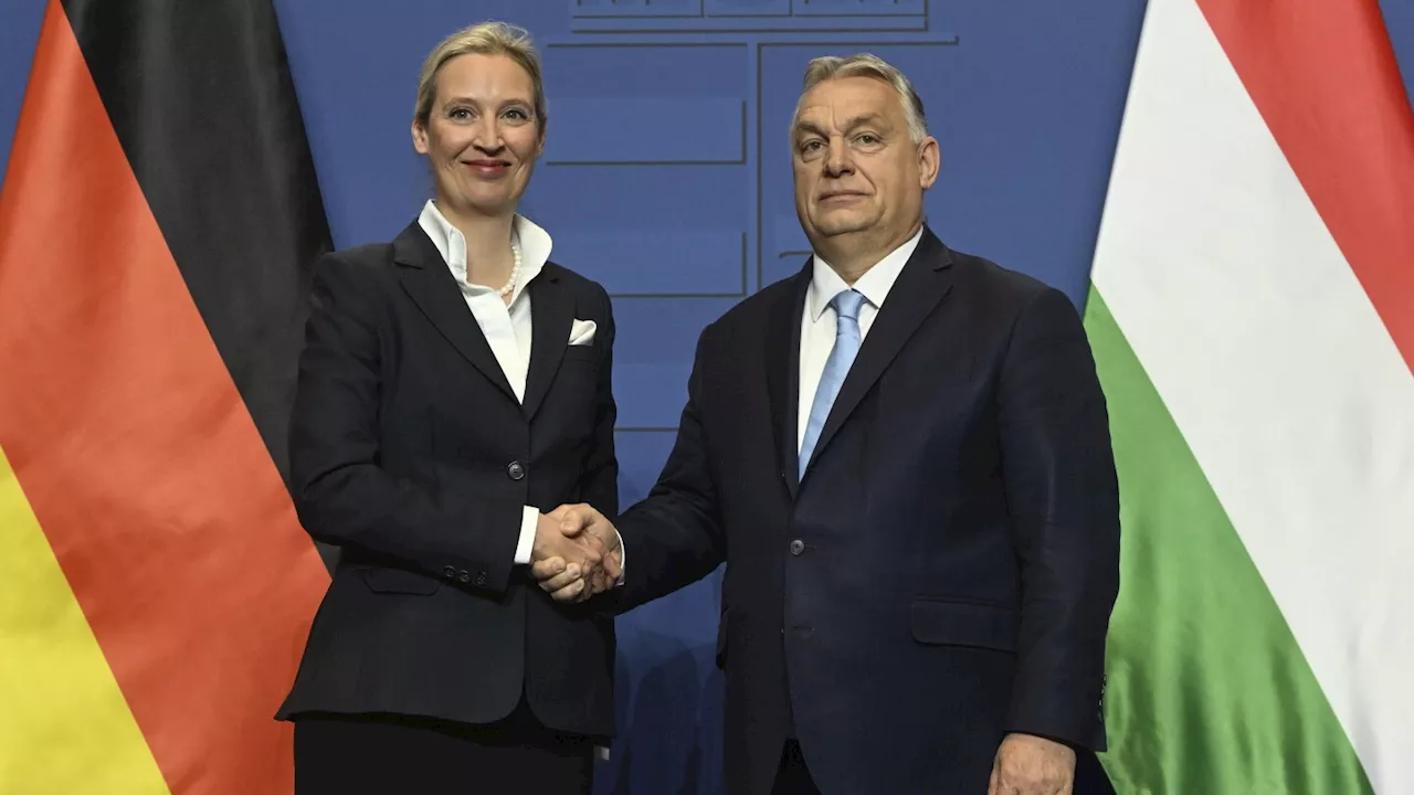 Orbán Endorses AfD as 'Future of Germany,' Meeting Sparks Controversy