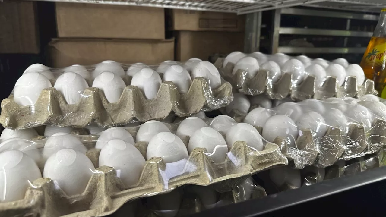 Record-High Egg Prices Squeeze Bakers and Consumers Amidst Ongoing Bird Flu Outbreak