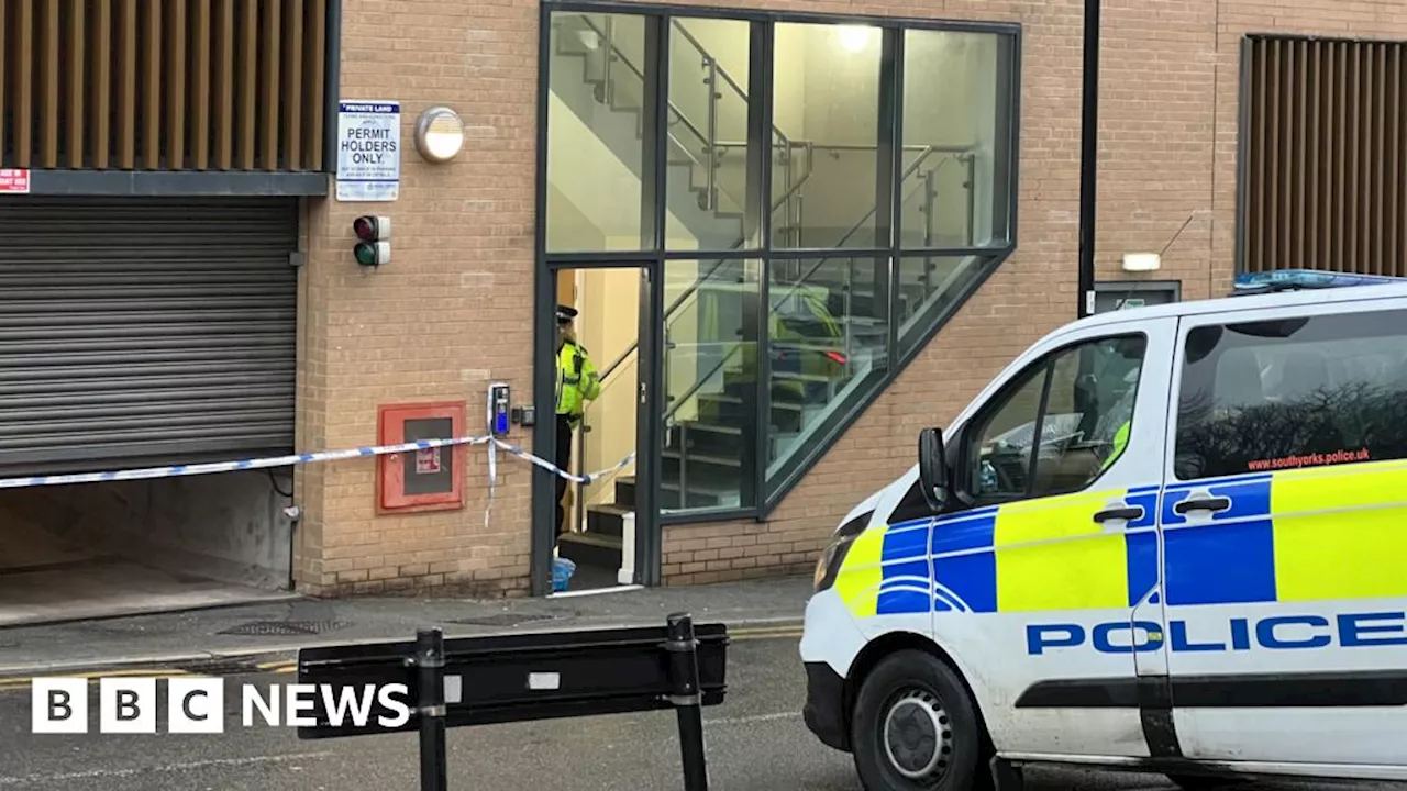 Man Arrested After Stand-Off With Armed Police in Sheffield