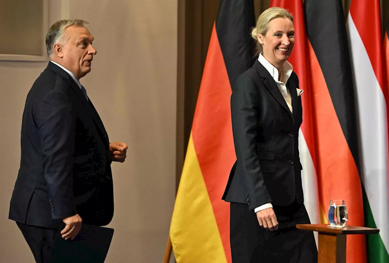 AfD-Chefin Weidel trifft Orbán in Budapest