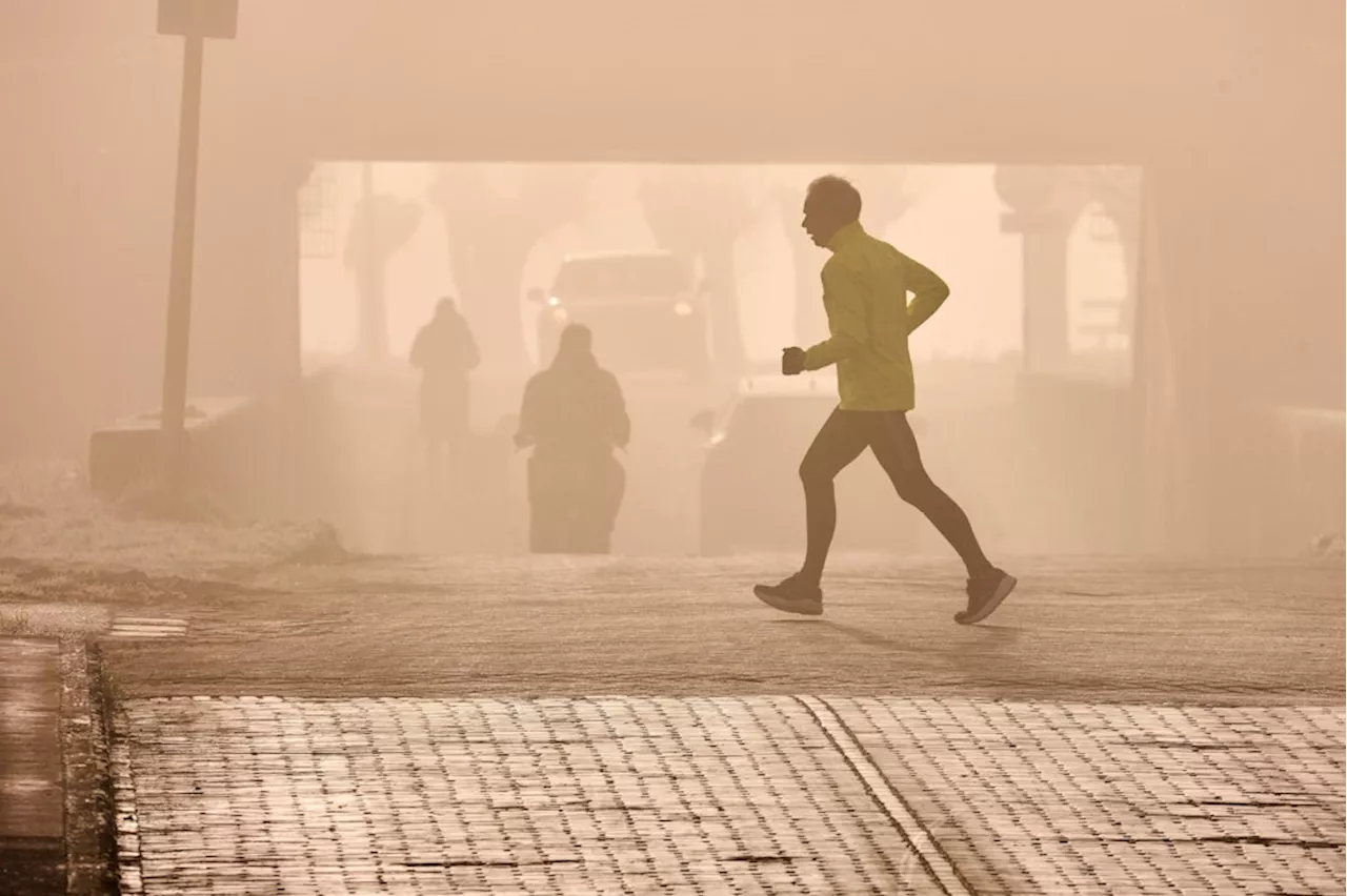 Smog aus Polen sorgt für schlechte Luftqualität in Berlin: Sport im Freien gefährlich