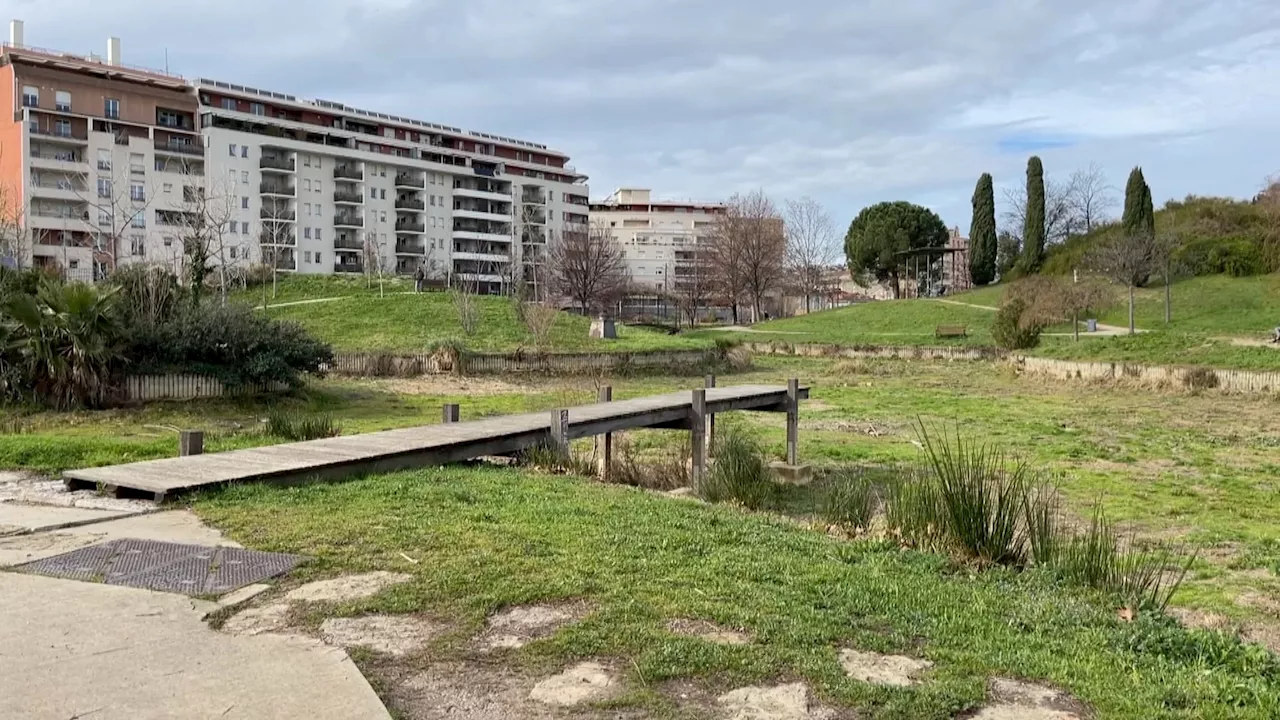 Parc du 26e Centenaire : Renouvellement et Espaces de Fraîcheur