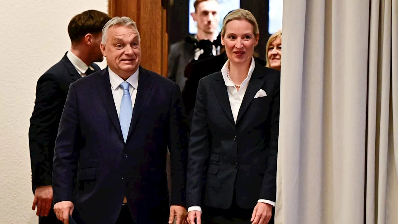 AfD-Chefin Weidel trifft sich mit Orbán in Budapest