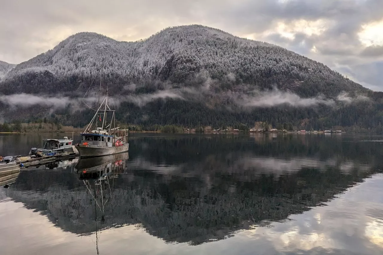 B.C.'s Snowpack Plummets 28% Below Normal Amid 'Extremely Dry' Start to Year