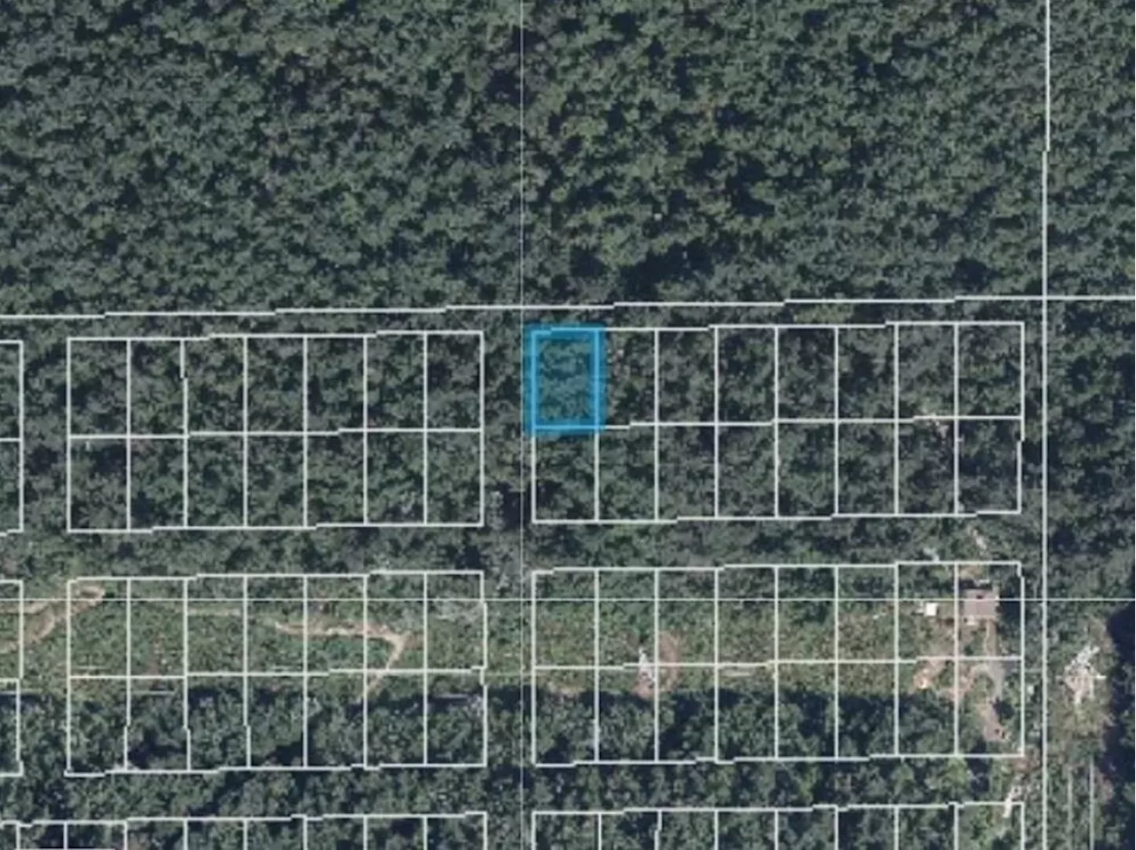 North Shore Land For Sale: $88,000 for a Private Forest Oasis