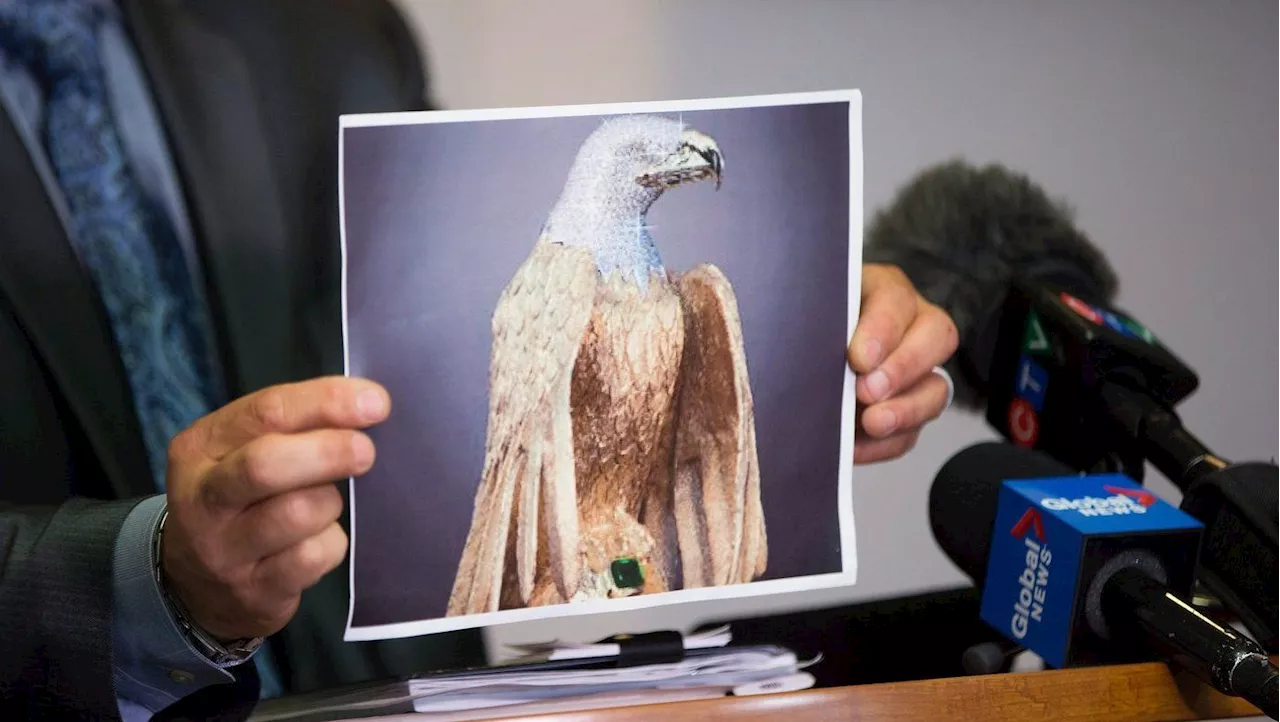 B.C. judge allows eagle sculpture insurance case despite ‘inexcusable’ delays