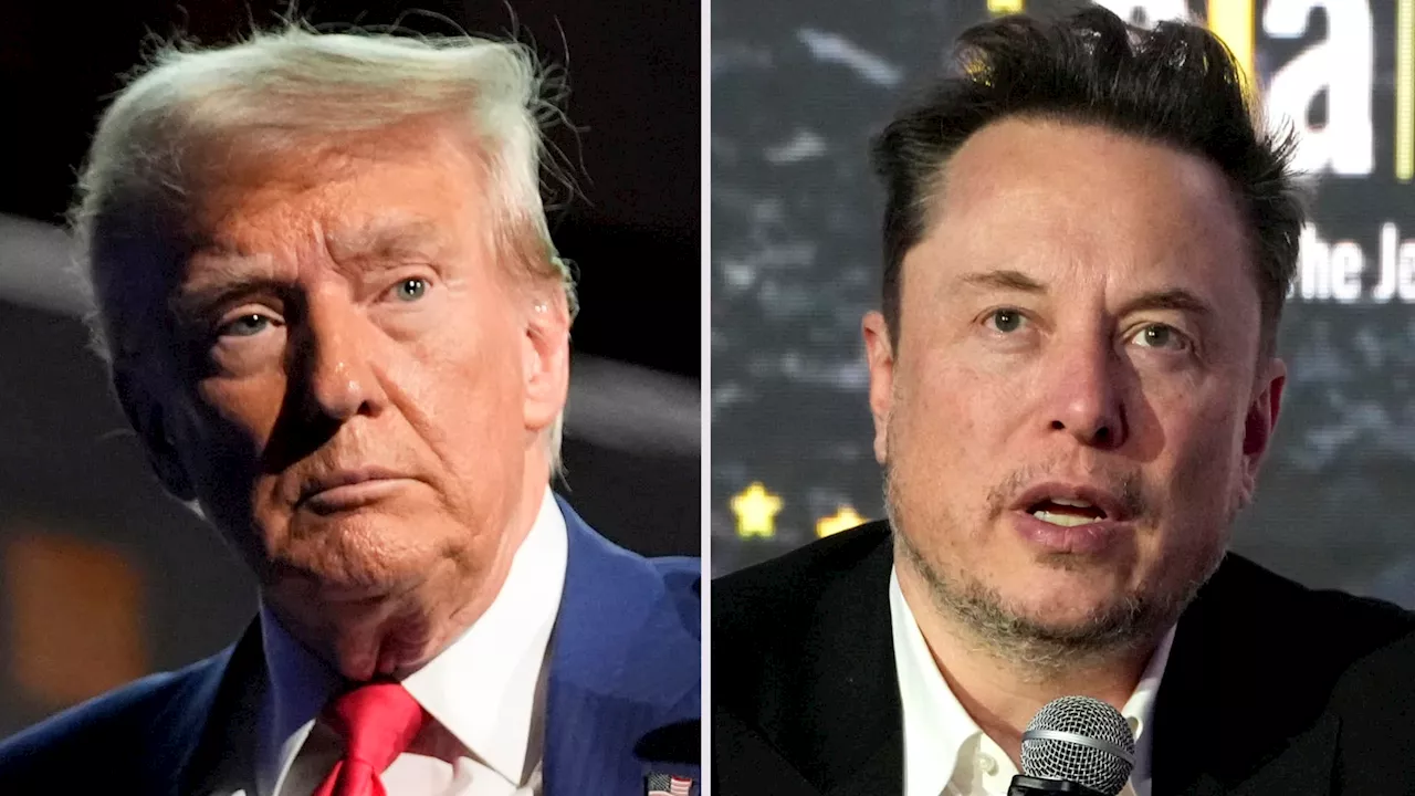 Trump froze a bribery law that previously hit suppliers for Elon Musk's Tesla