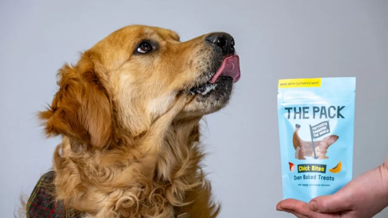 World First: UK Pet Owners Can Now Buy Treats Made with Lab-Grown Meat