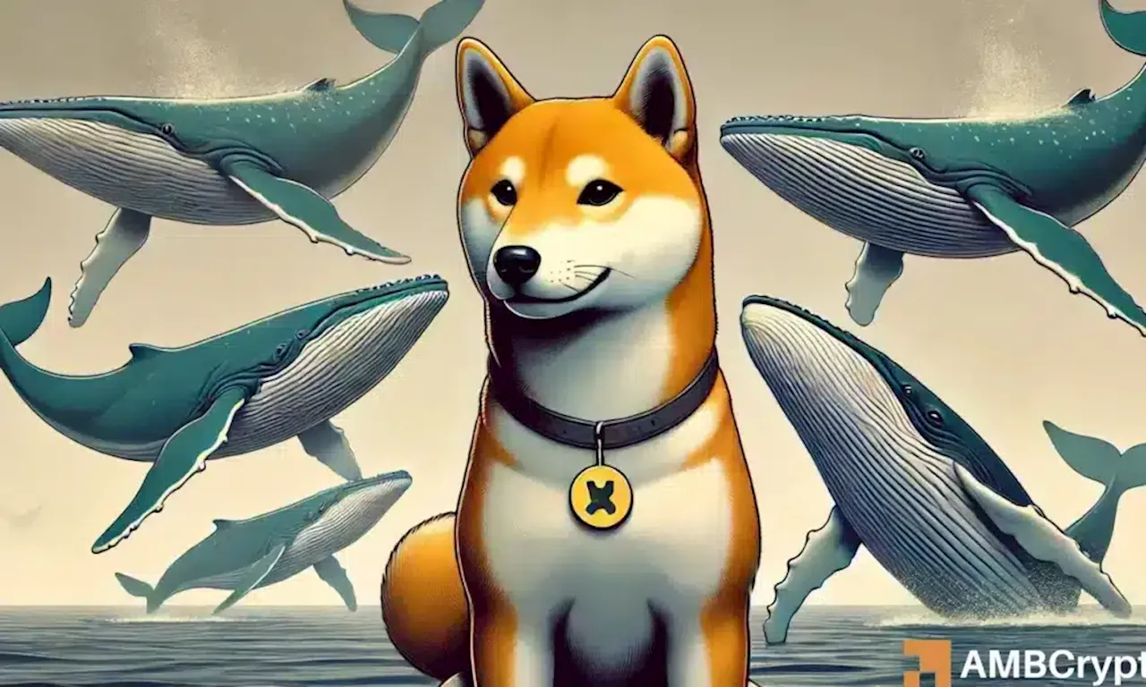 Is Now the Time to Buy Shiba Inu's Dip?