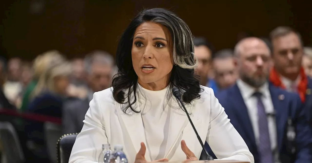 Gabbard Confirmed as DNI, Citrus Growers Eye Expansion, And More