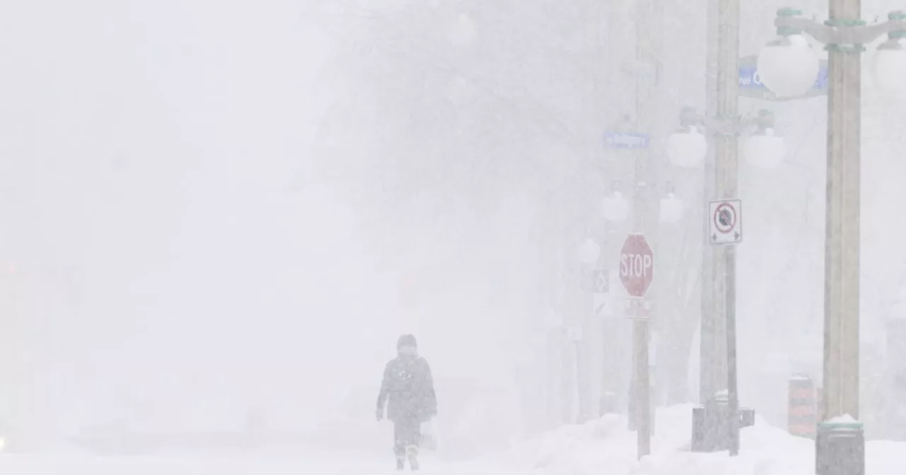 Snowfall Warning Issued for Toronto and GTA