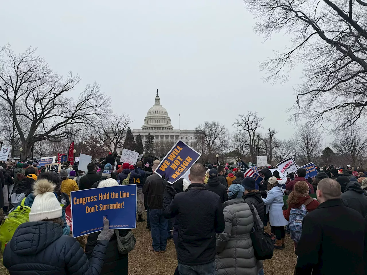 Democrats Rally Against Trump and Musk's Government Efficiency Drive