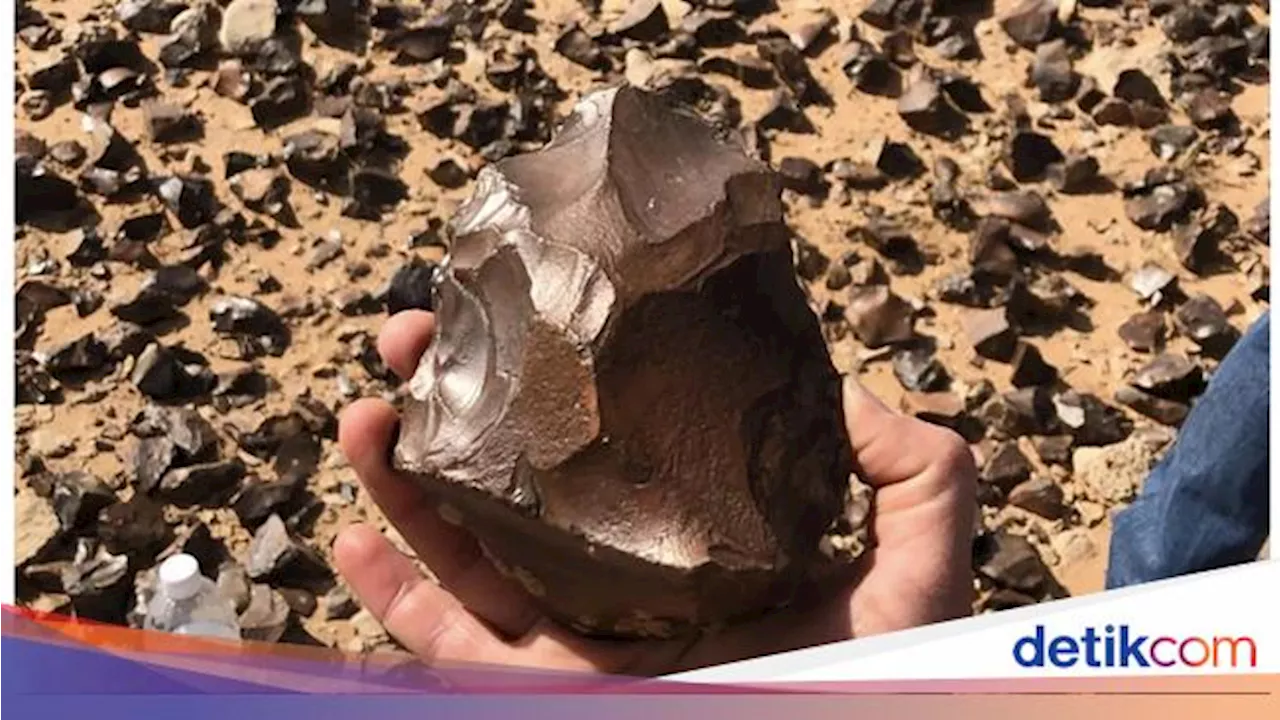 Kapak Genggam Berusia 1,5 Juta Tahun Ditemukan di Gurun Irak