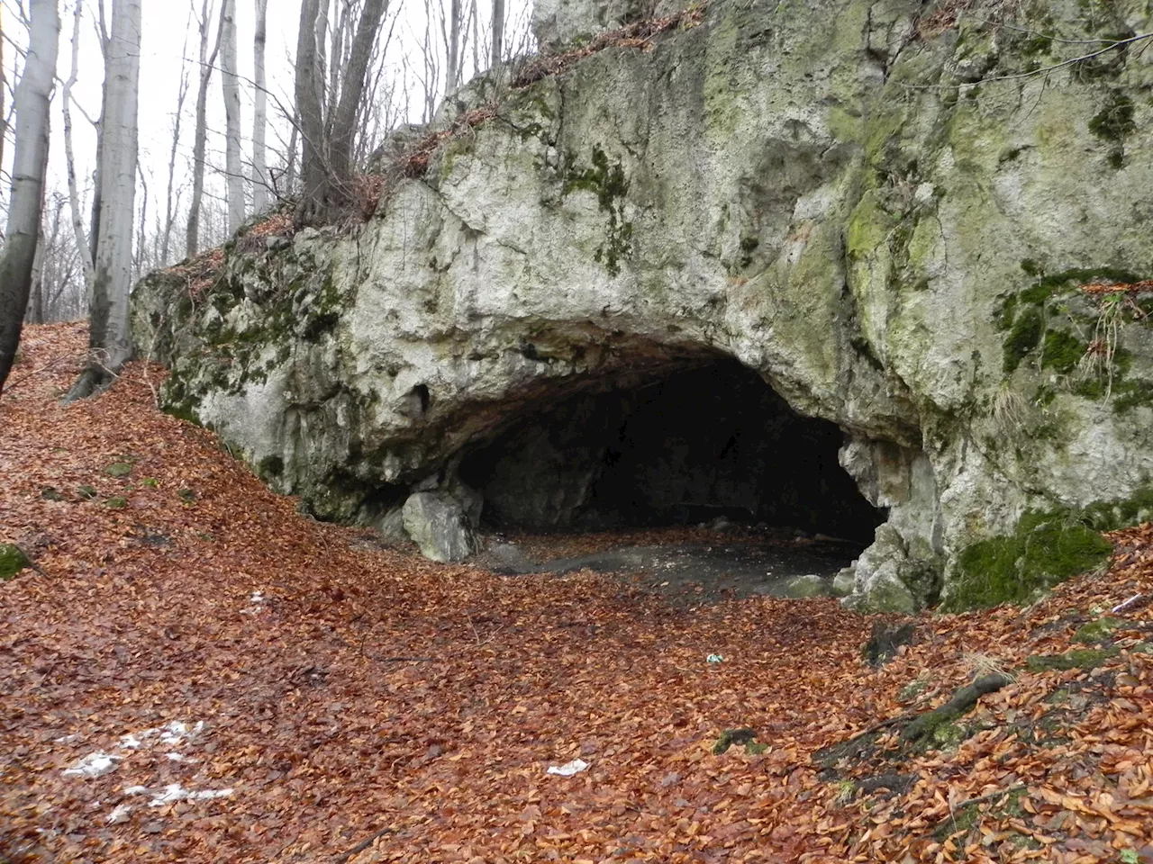 Cannibalism Revealed in 18,000-Year-Old Remains from Poland