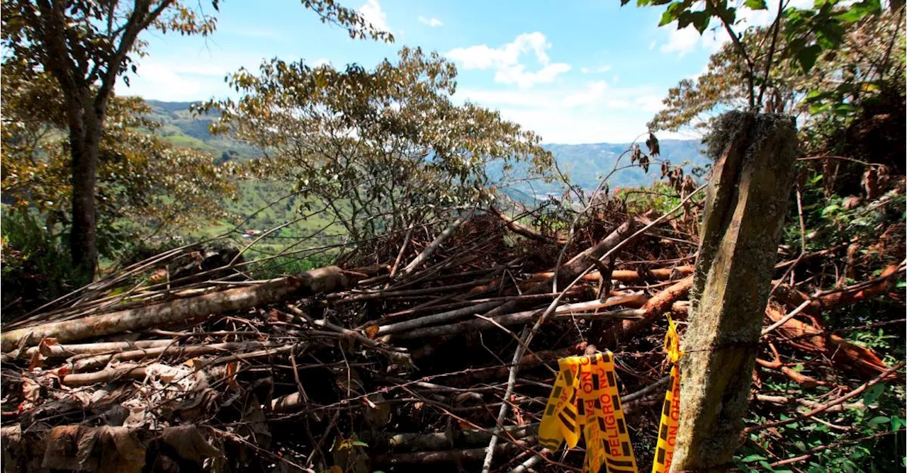 Doble Homicidio en Andes y El Carmen de Viboral: Violencia en Antioquia