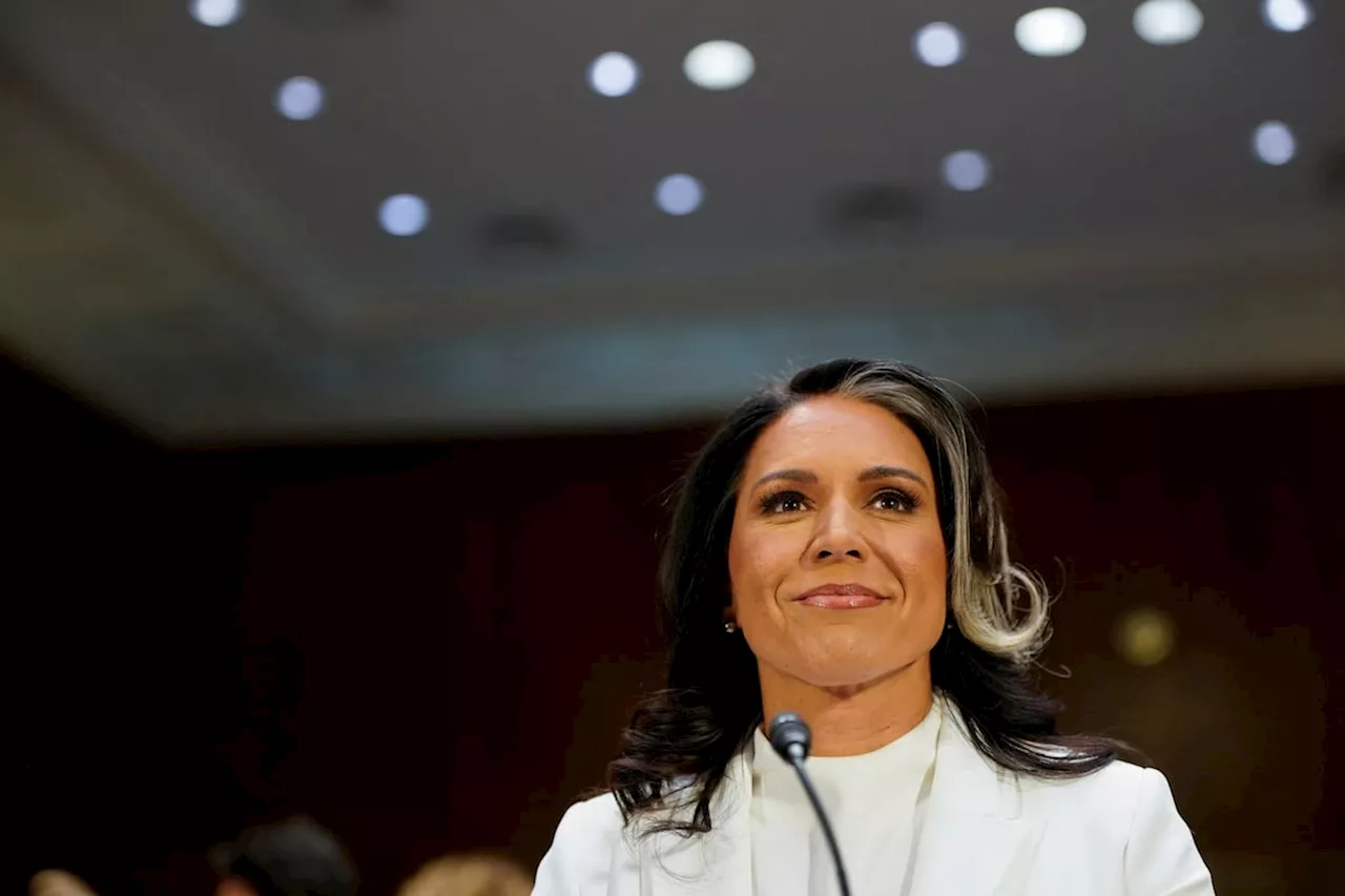 Tulsi Gabbard Confirmada como Diretora de Inteligência dos EUA