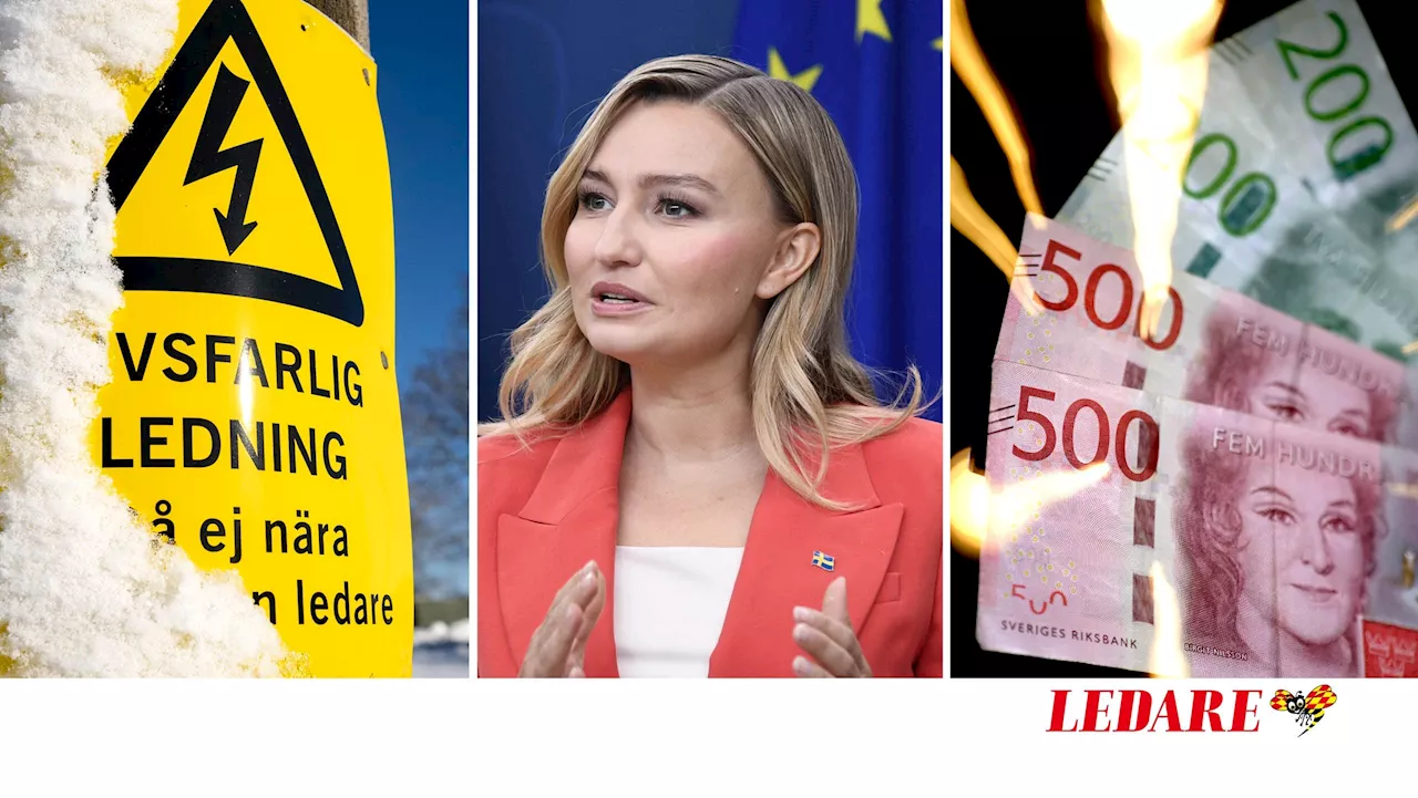 LEDARE: Ge tillbaka miljarderna till svenskarna, Busch