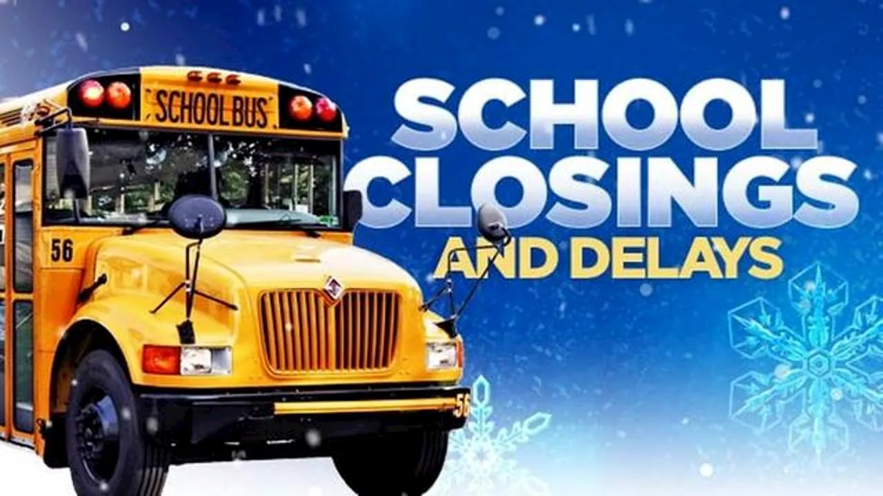 Chicago area schools announce closures, shifts to E-learning ahead of snowstorm