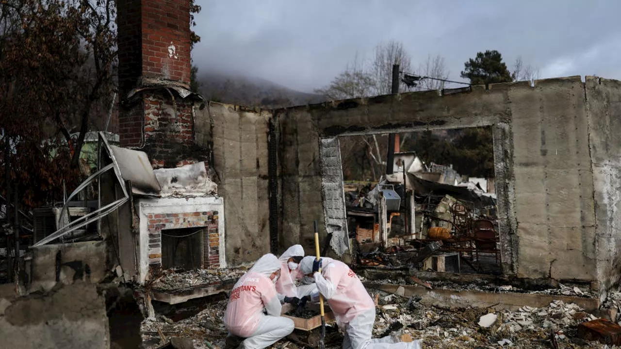 Debris Removal Begins in LA County Wildfire Aftermath