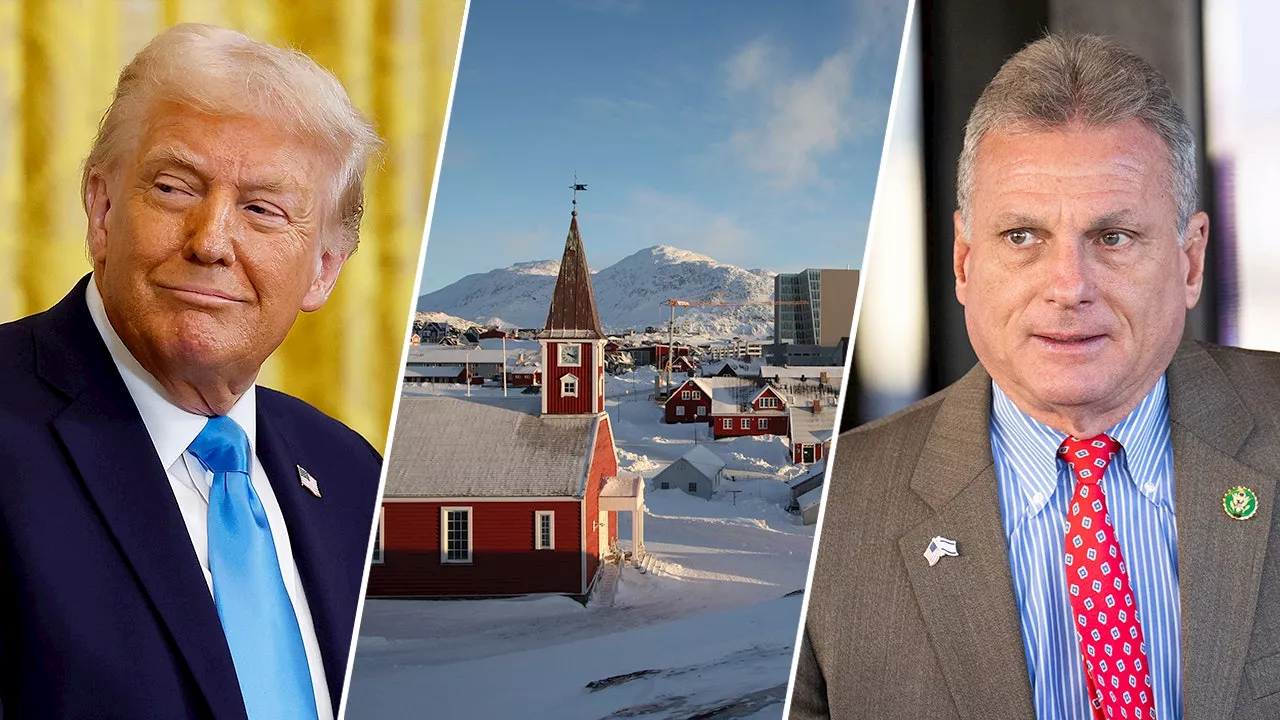 Rep. Carter Proposes Renaming Greenland 'Red, White and Blueland'