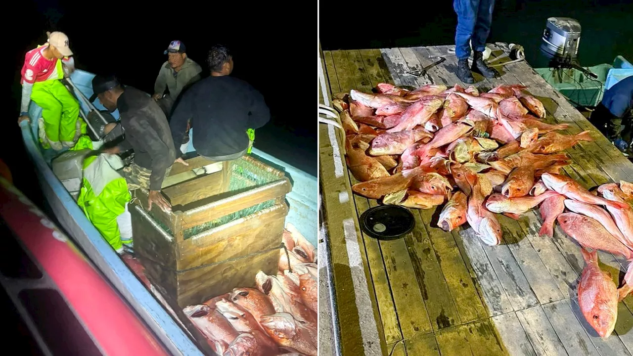 US Coast Guard Seizes Nearly 1,600 Pounds of Illegally Caught Red Snapper in Texas Waters