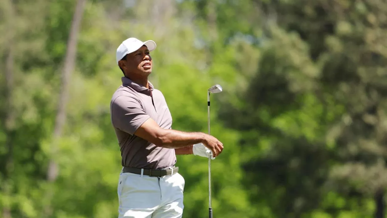 Tiger Woods: Il Sogno Continua