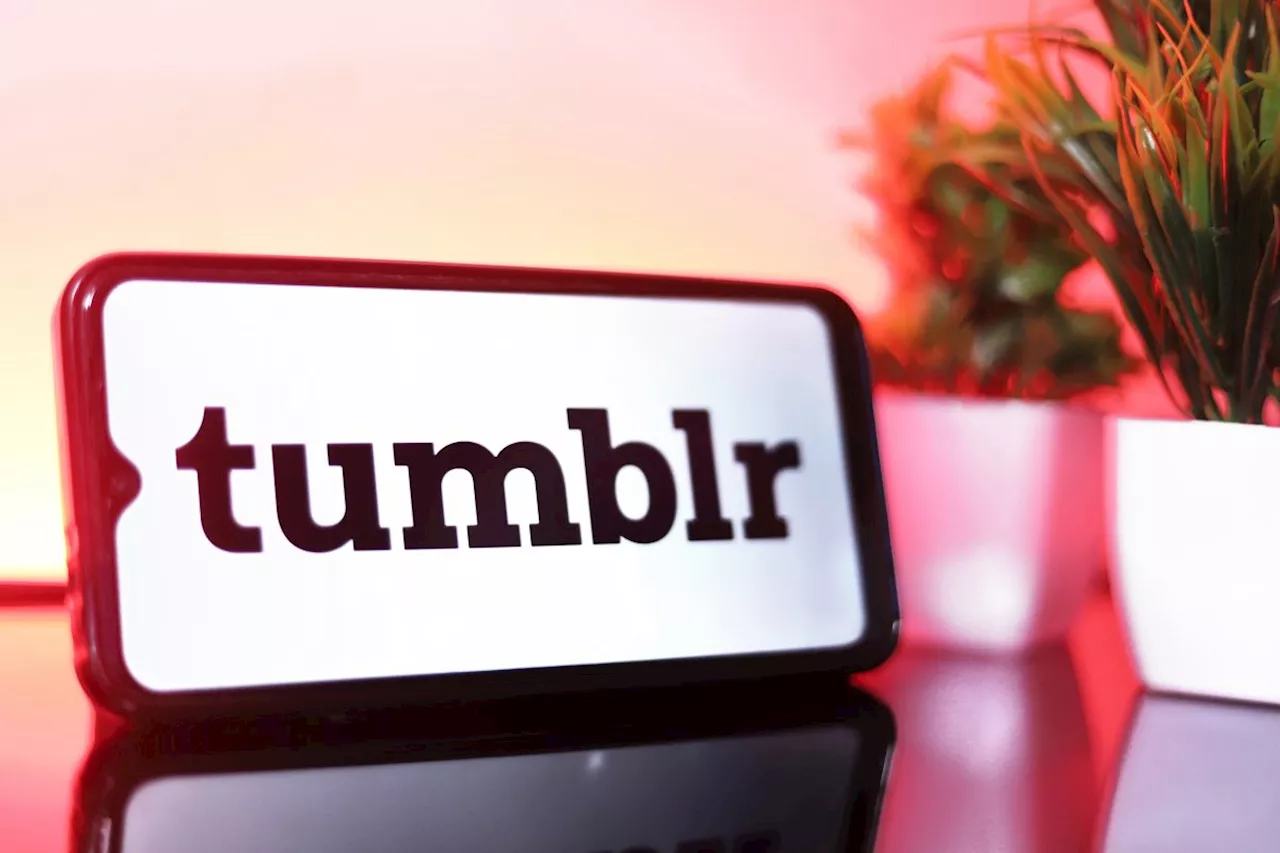 Tumblr wird auf WordPress-Technik umgestellt und soll dann ins Fediverse