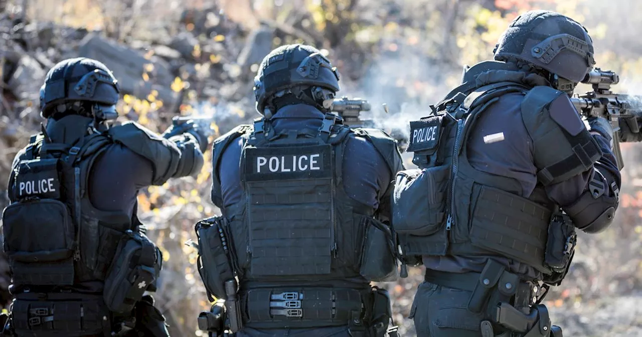 Teenager Sentenced to Four Years for Hundreds of Swatting and Threat Calls