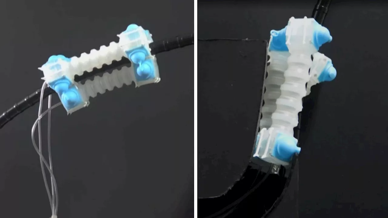 Worm-like Soft Robot Crawls, Climbs, and Shapeshifts with Single Air Input