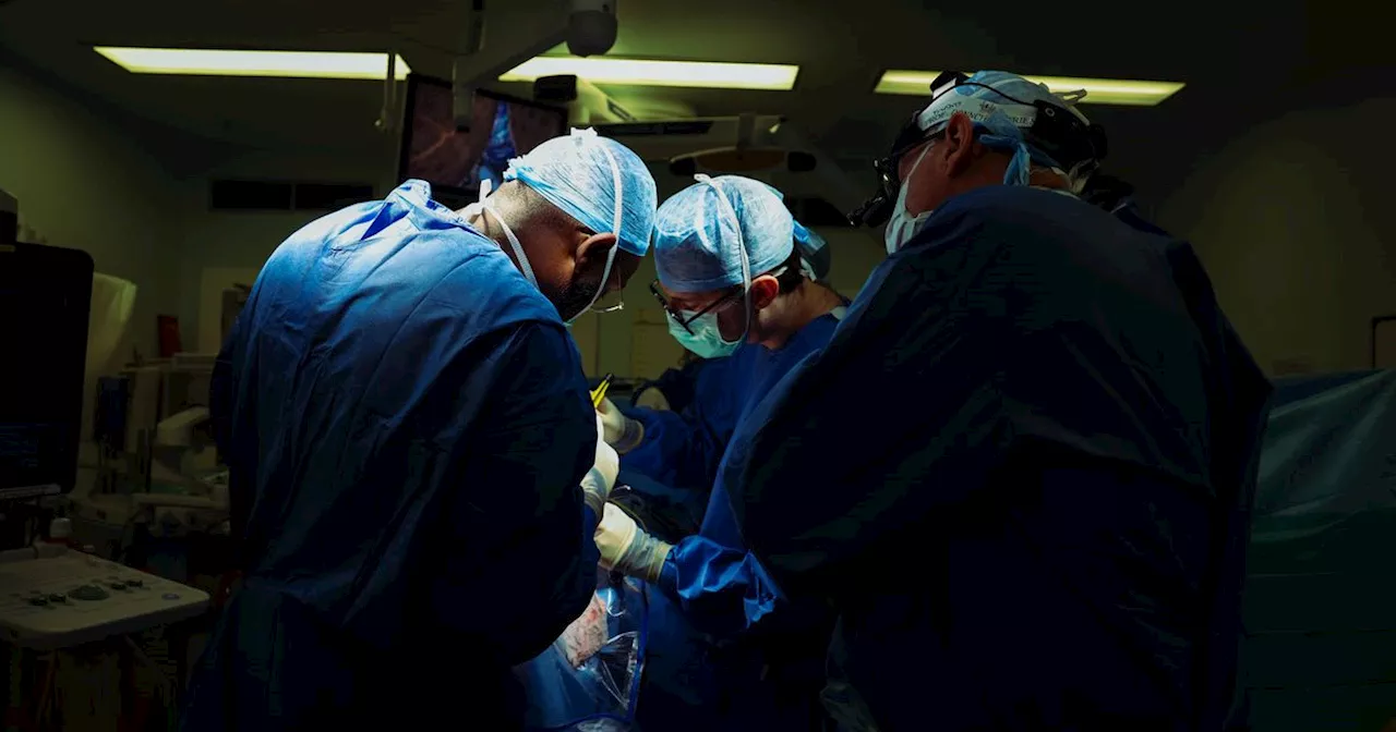 Brain Doctors: Inside Neurosurgery