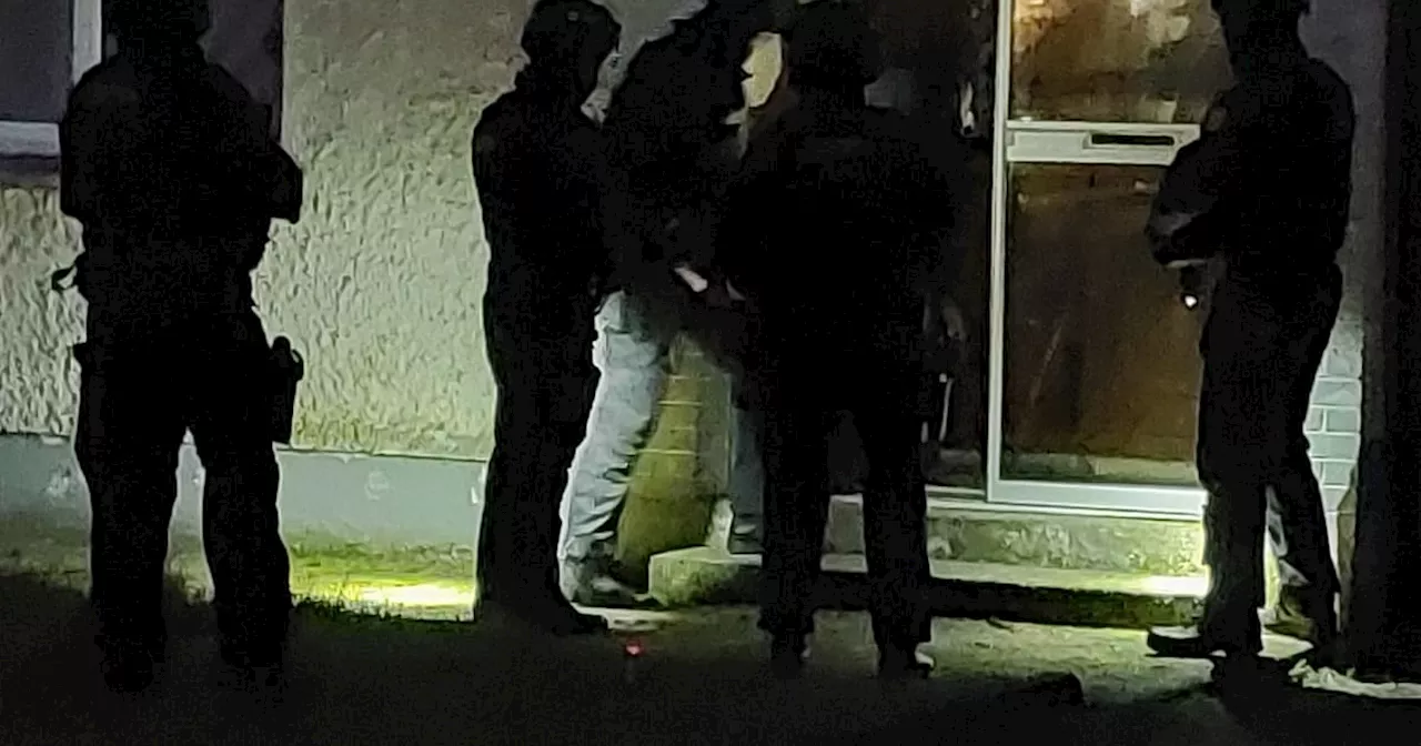 Armed gardai involved in midlands and Co Galway raids targeting prolific crime gang