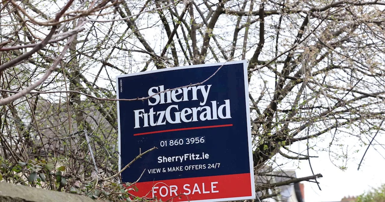 Ireland Needs 62,000 New Homes Annually to Tackle Housing Crisis, Says Sherry FitzGerald