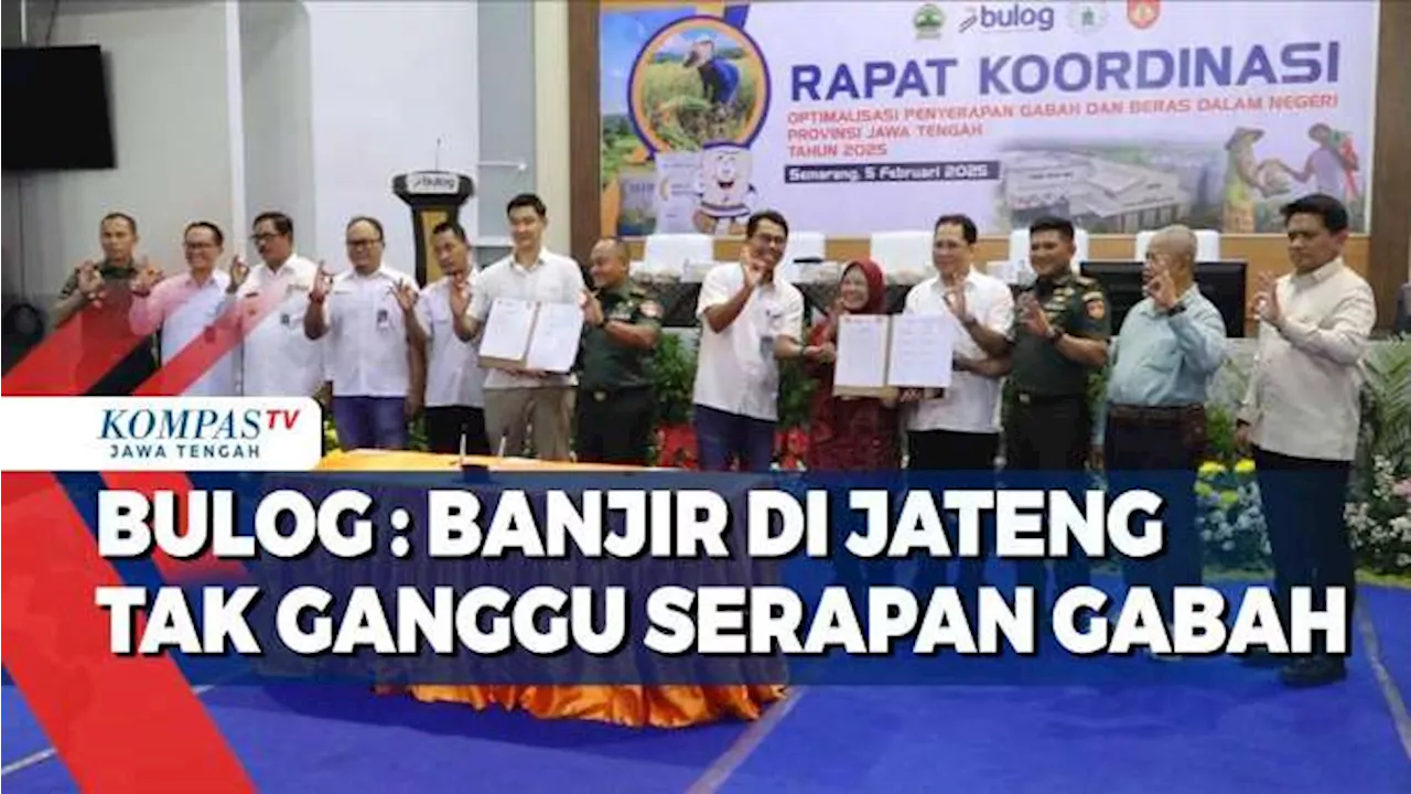 Bulog: Banjir di Jawa Tengah Tak Ganggu Serapan Gabah