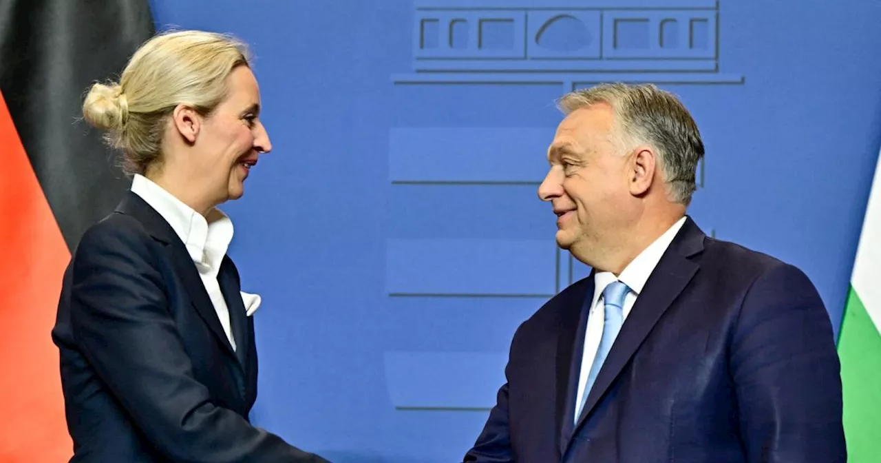 Weidel zu Besuch bei Orbán: 'Ungarn ist unser großes Vorbild'