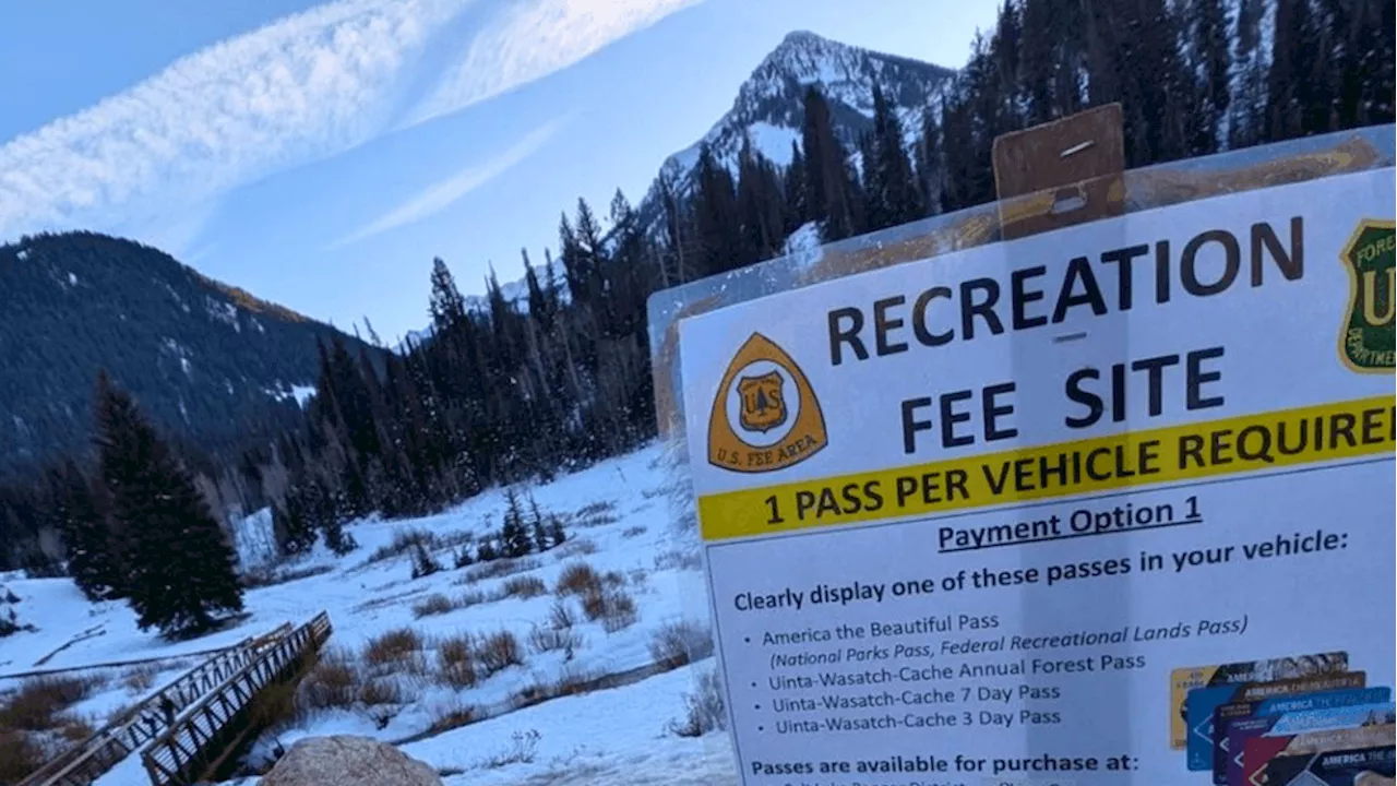 Utah Legislature Proposes Turning Cottonwood Canyons into State Parks