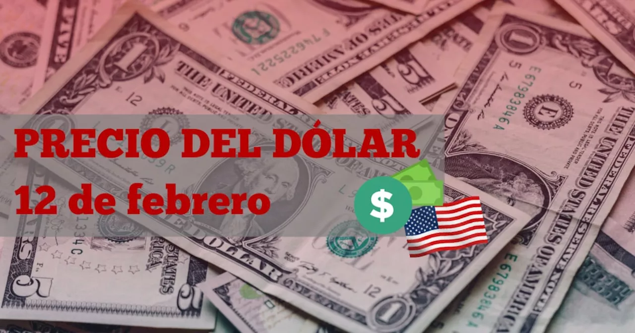 Peso mexicano se mantiene estable a pesar de aranceles de Trump