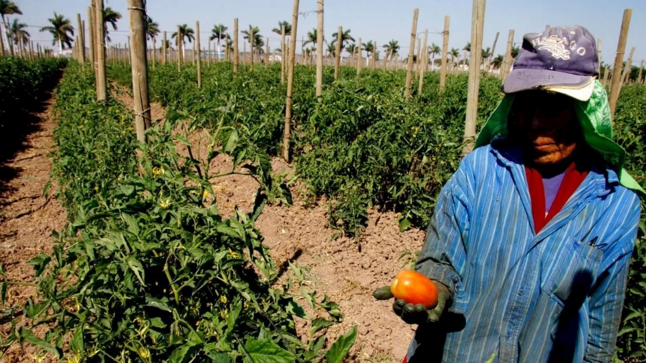 El Crimen Organizado Controla la Distribución de Agua en Sinaloa