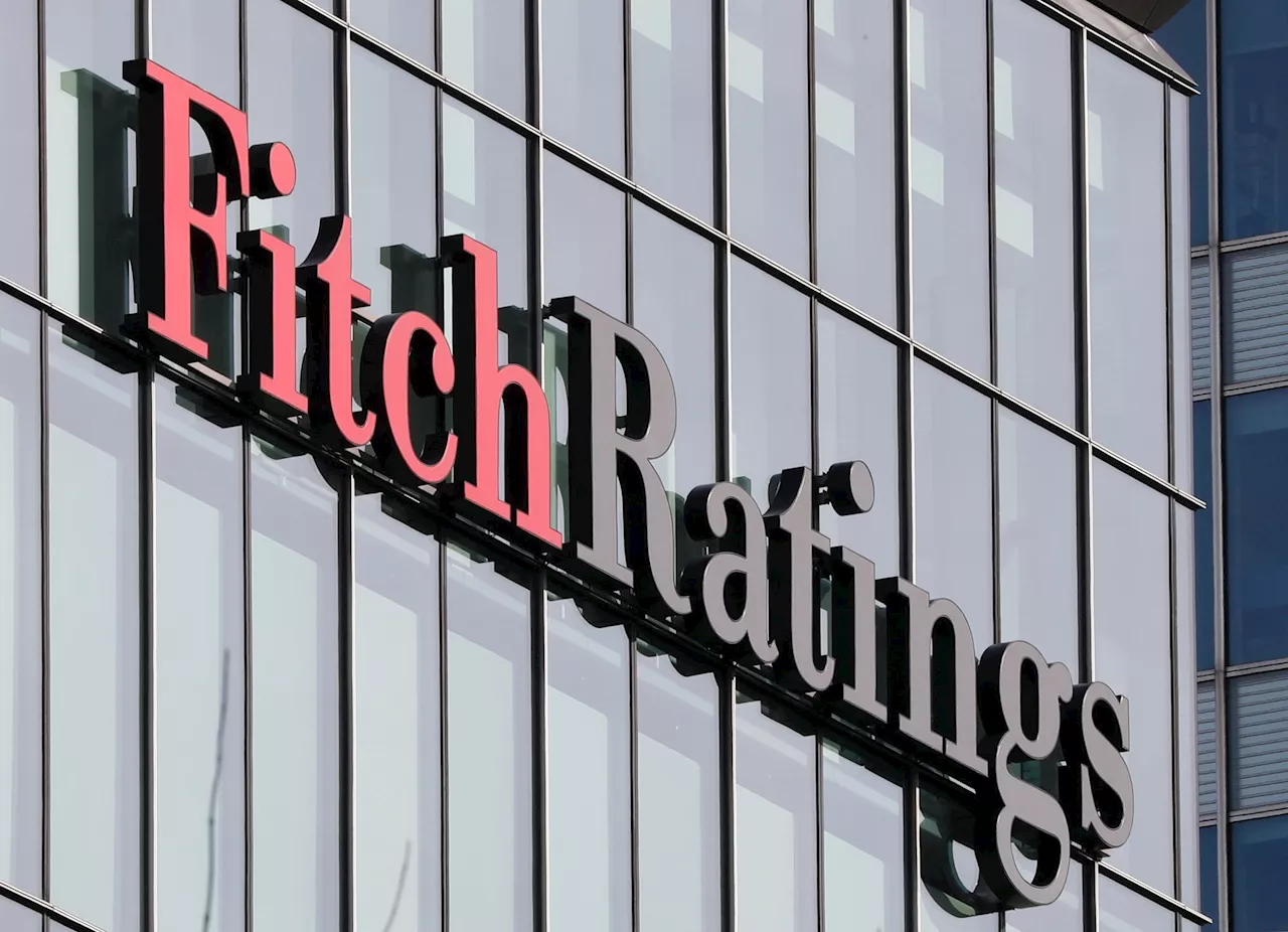 L'Économiste américain Fitch Prévient : Décélération économique en 2025