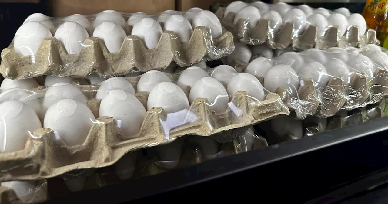 Los precios de los huevos alcanzan un récord en EEUU