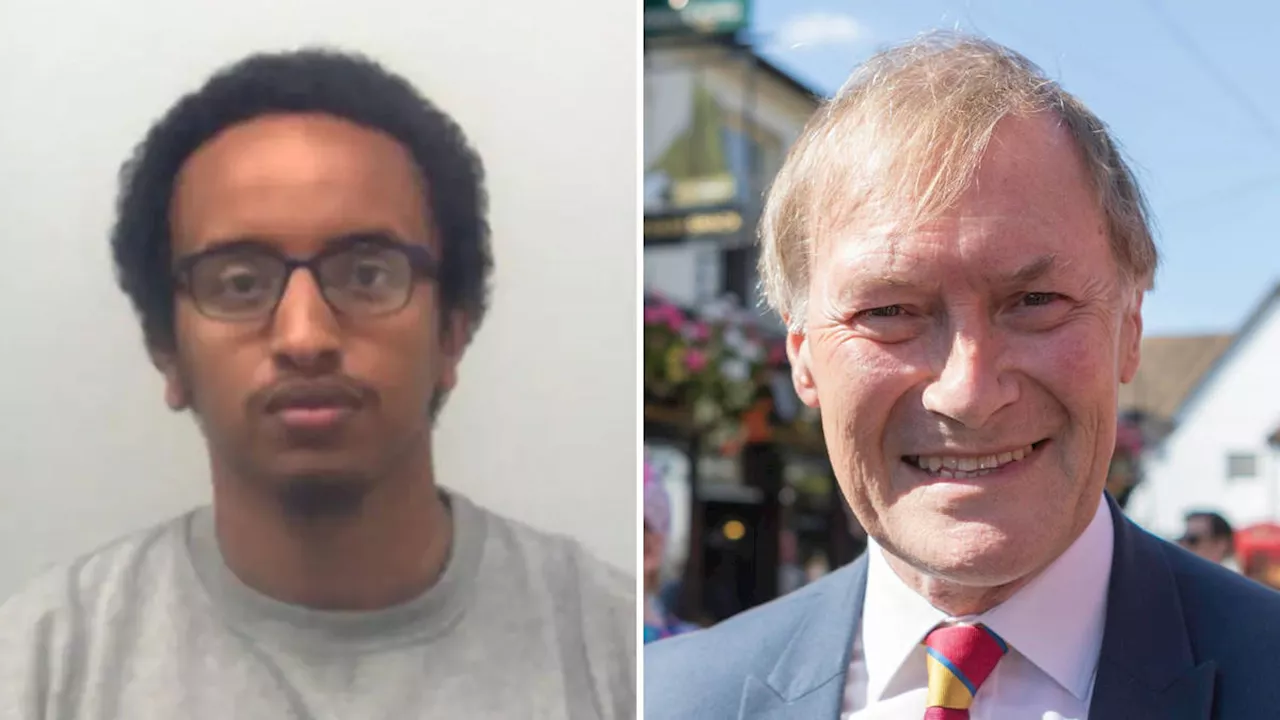 'Problematic' assessment of Sir David Amess' killer led to Prevent case being closed 'too quickly', review...