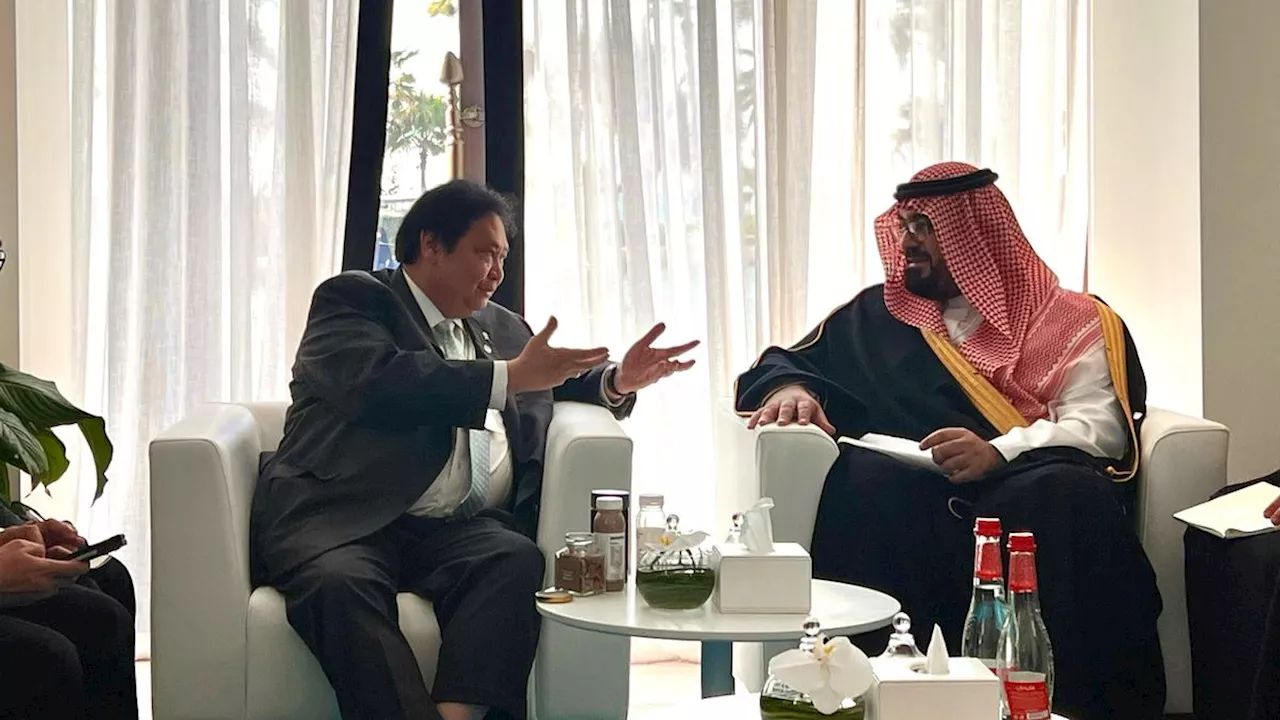 Menko Perekonomian Yakin Arab Saudi Mitra Strategis Indonesia