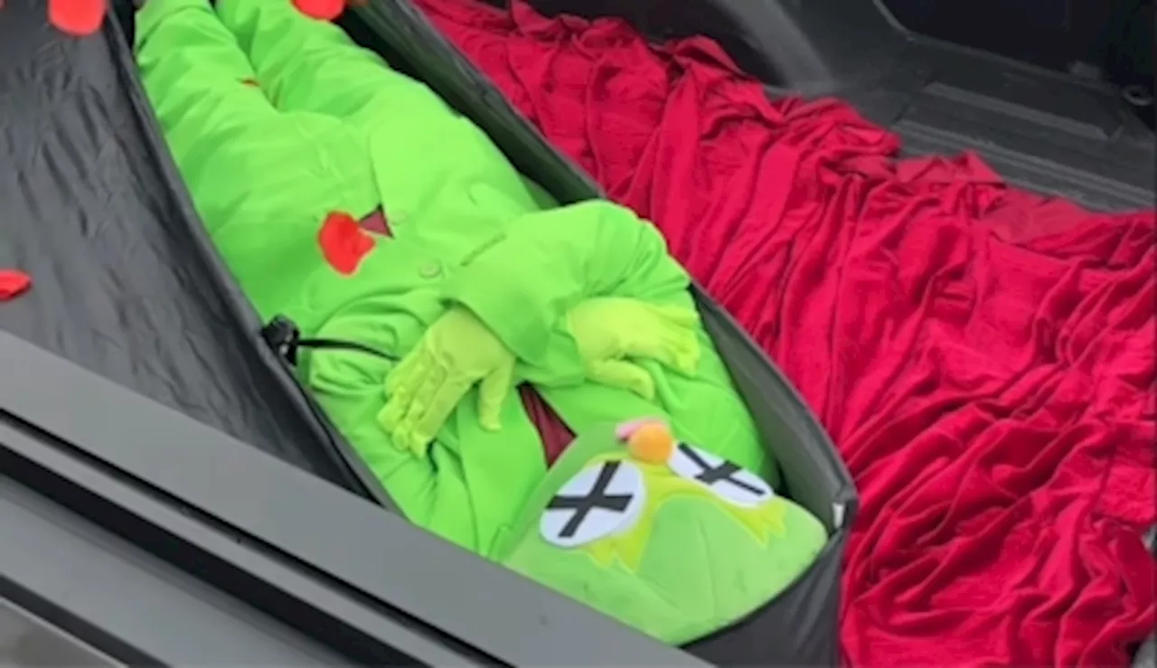 End of the streak: Duolingo announces ‘death’ of its beloved mascot, Duo the Owl (VIDEO)