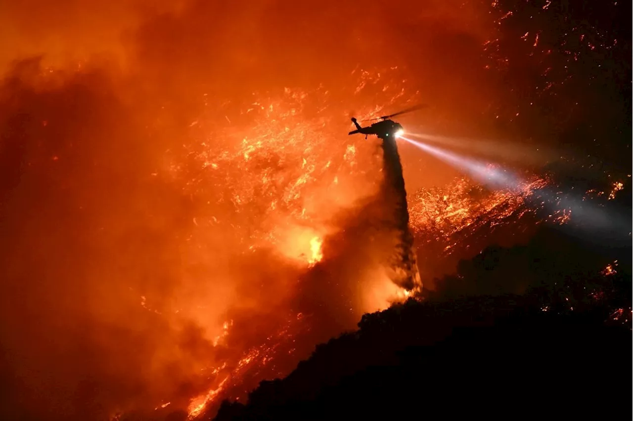 Incendies de Los Angeles : les pompiers mexicains à la rescousse des États-Unis