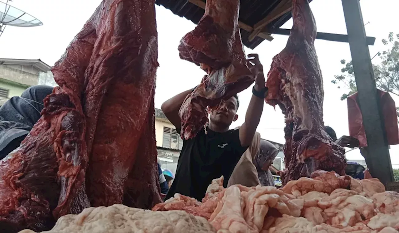 Pemerintah Indonesia Mencari Cara Mengatasi Kenaikan Harga Daging Kerbau