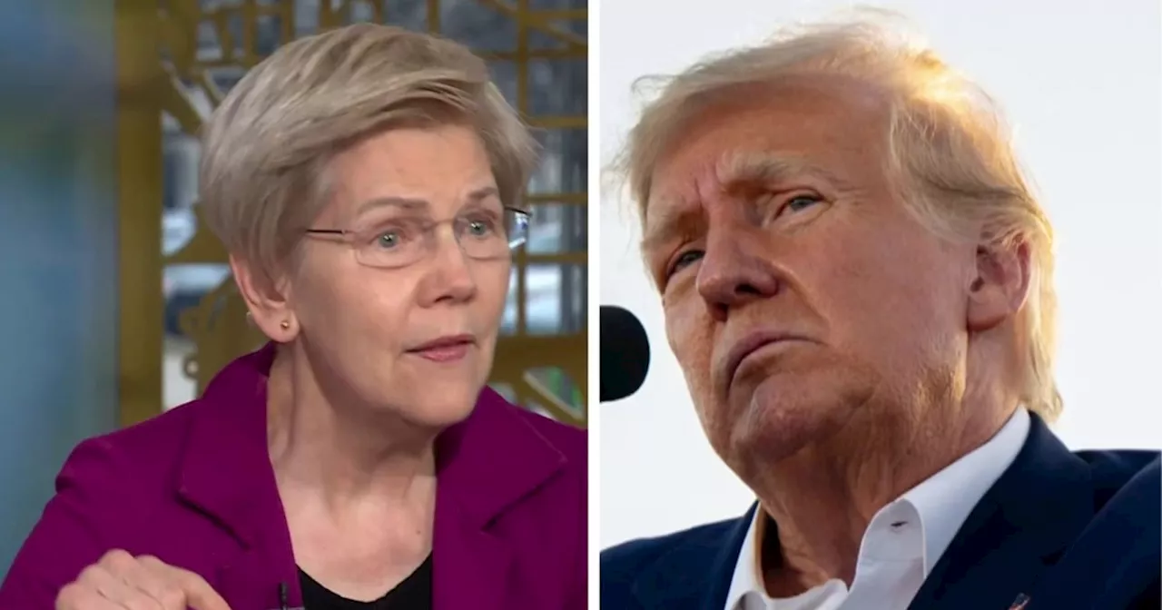 Senator Warren Criticizes Trump's Tariffs and CFPB Rollbacks