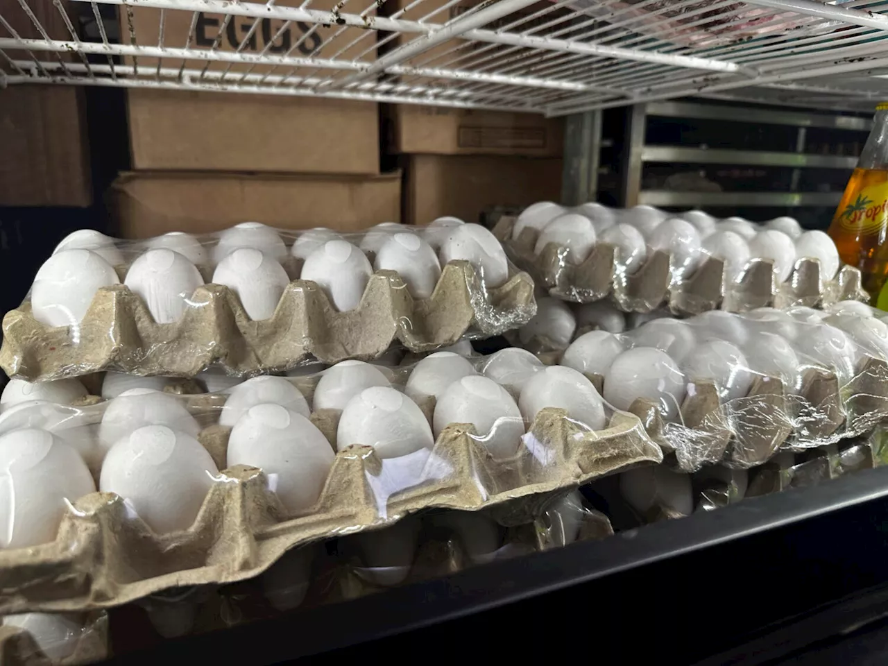 Record-High Egg Prices Fuel Inflation Concerns