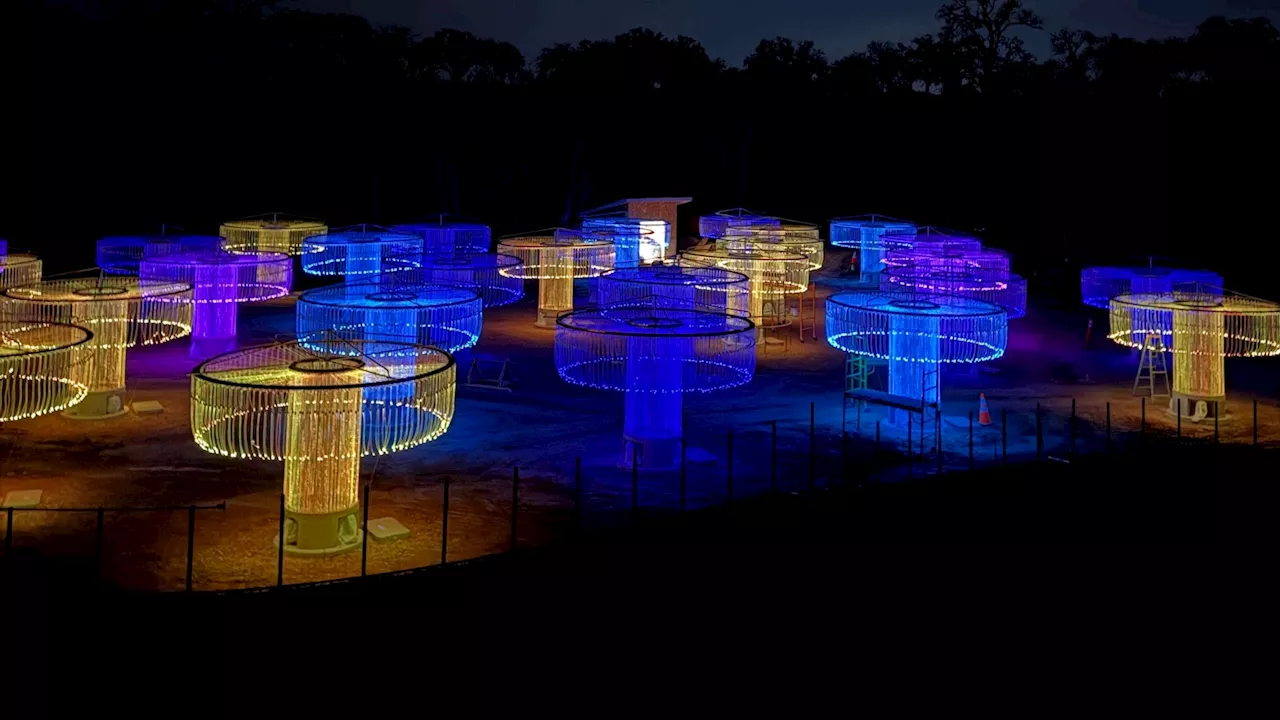 Bruce Munro's 'FOSO' to Illuminate Sensorio in April