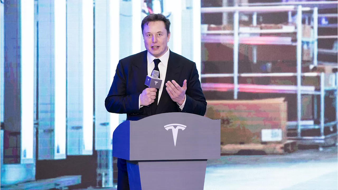 Tesla's Aggressive Legal Tactics in China Silence Critics and Protect Profits