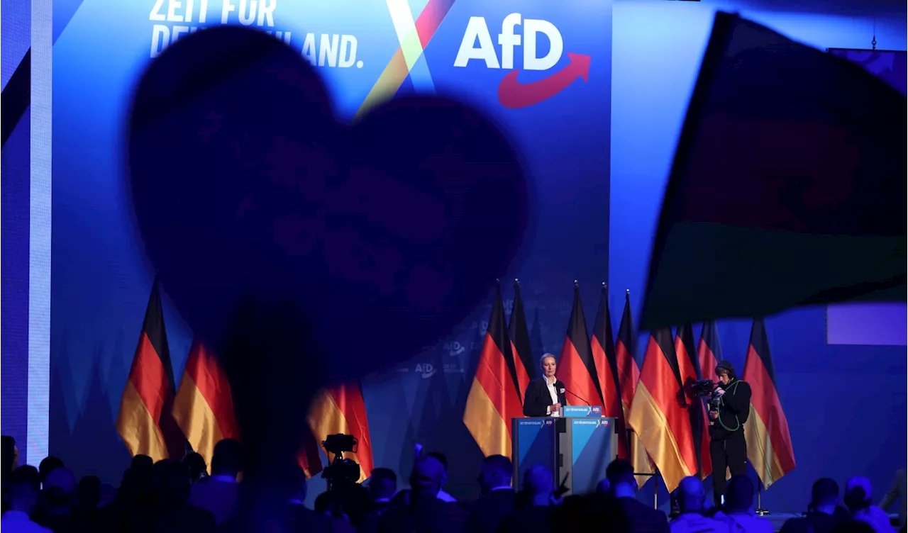 AfD Dominates Polls in East Germany, Fueled by Economic Concerns