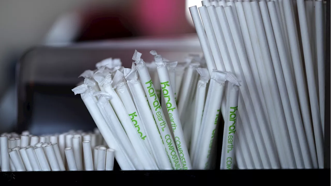 Trump Bans Paper Straws, Declares War on 'Irrational Campaign' Against Plastic